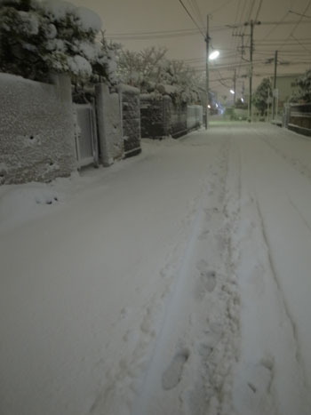 140216_雪景色.jpg